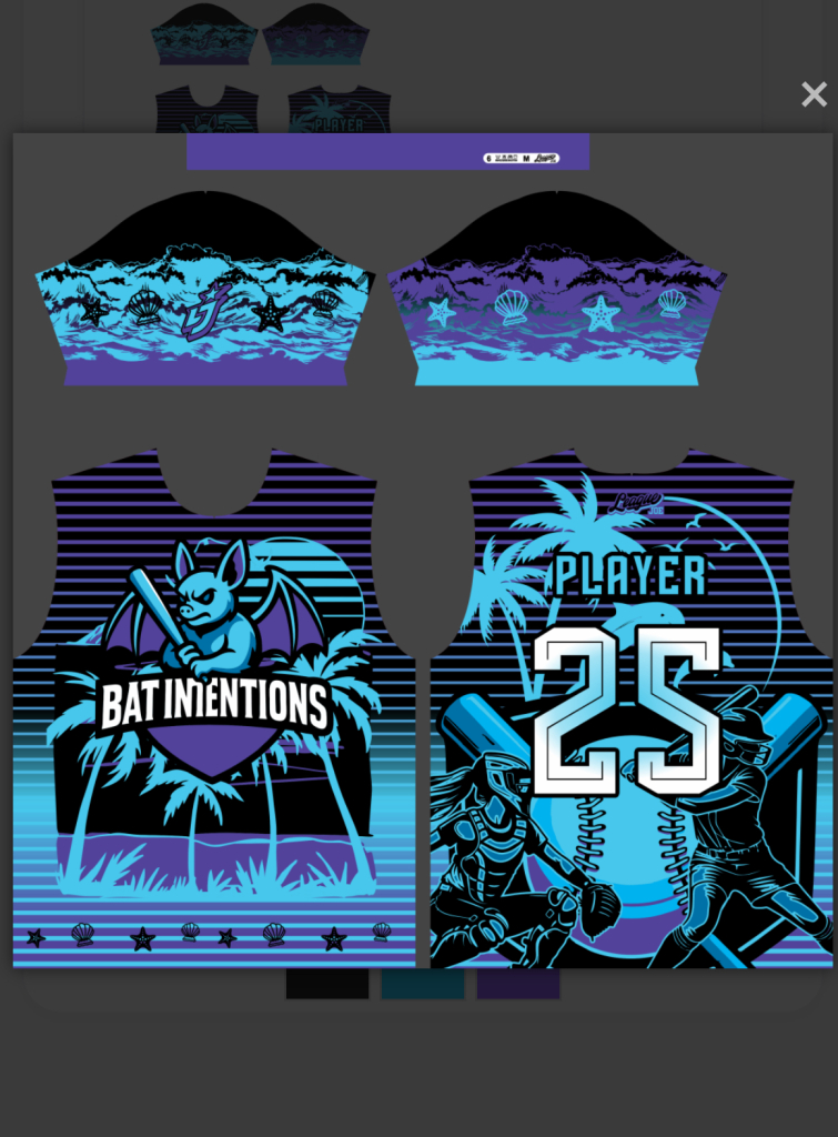 BAT INTENTIONS Official Jersey