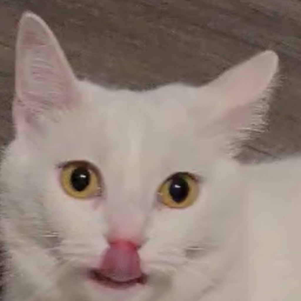 TRETYF296 Avatar